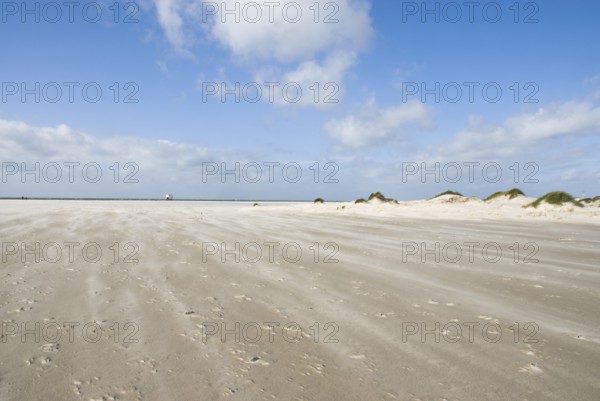 A strong storm whistles across the desert-like western beach of the North Frisian island of Amrum, Amrum, Norddorf, North Frisia, Germany