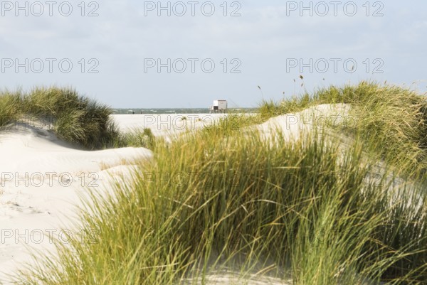 The Frisian Caribbean, North Frisian island of Amrum, North Frisia, North Germany, Germany