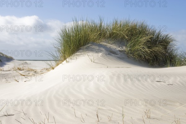 The Frisian Caribbean, North Frisian island of Amrum, North Frisia, North Germany, Germany