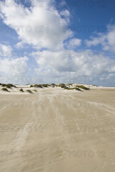 A strong storm whistles across the desert-like western beach of the North Frisian island of Amrum, Amrum, Norddorf, North Frisia, Germany