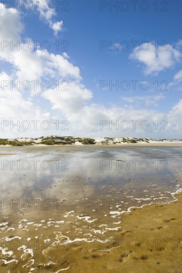 Water reservoir between the dunes of the North Frisian island of Amrum, Amrum, Norddorf, North Frisia, Germany