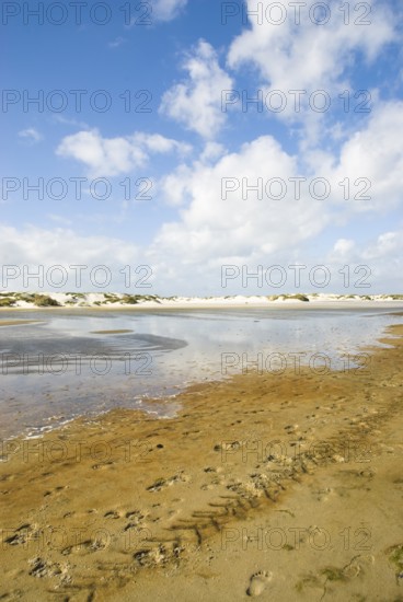 Water reservoir between the dunes of the North Frisian island of Amrum, Amrum, Norddorf, North Frisia, Germany