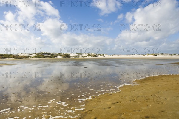 Water reservoir between the dunes of the North Frisian island of Amrum, Amrum, Norddorf, North Frisia, Germany