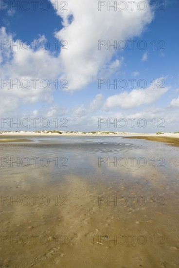 Water reservoir between the dunes of the North Frisian island of Amrum, Amrum, Norddorf, North Frisia, Germany