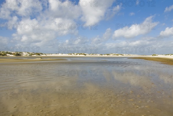 Water reservoir between the dunes of the North Frisian island of Amrum, Amrum, Norddorf, North Frisia, Germany