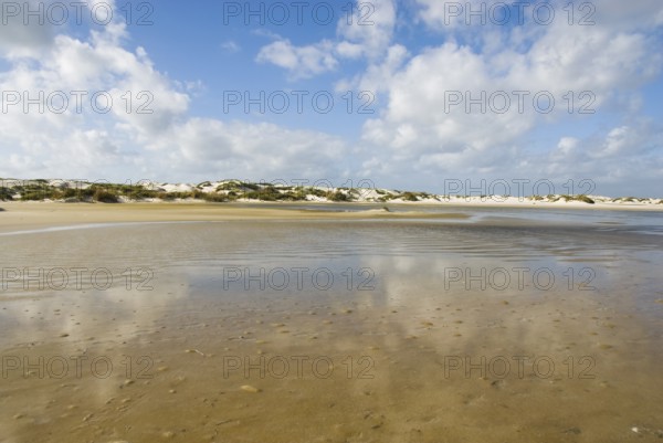 Water reservoir between the dunes of the North Frisian island of Amrum, Amrum, Norddorf, North Frisia, Germany
