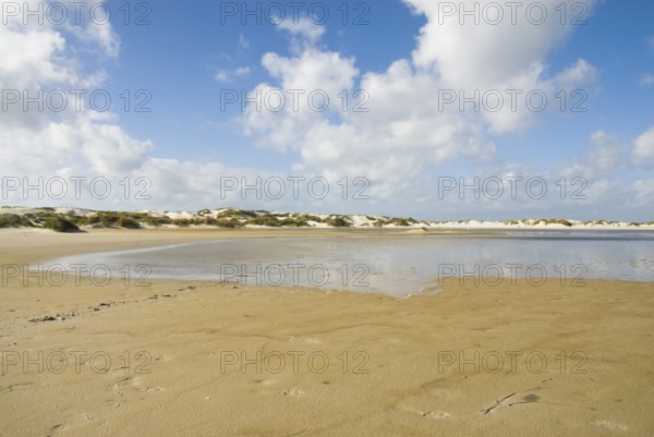 Water reservoir between the dunes of the North Frisian island of Amrum, Amrum, Norddorf, North Frisia, Germany