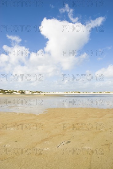 Water reservoir between the dunes of the North Frisian island of Amrum, Amrum, Norddorf, North Frisia, Germany