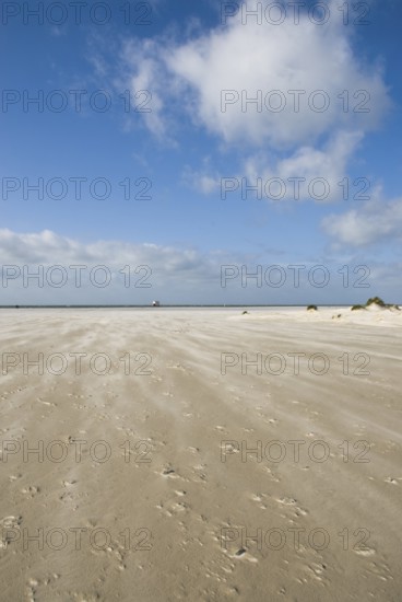A strong storm whistles across the desert-like western beach of the North Frisian island of Amrum, Amrum, Norddorf, North Frisia, Germany