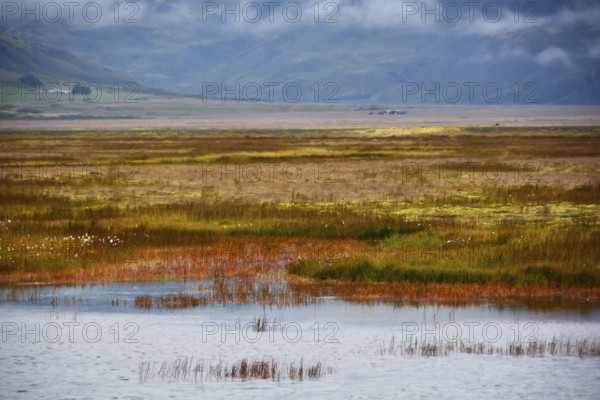 Grass landscape in Iceland, Jökularson, Iceland