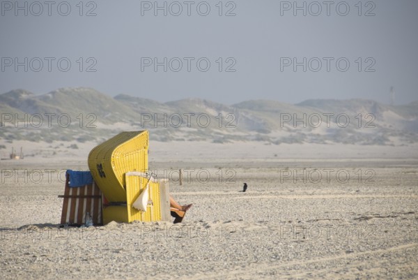 Impressions of the beach in the village of Süddorf on the North Frisian island of Amrum, Amrum, Süddorf beach, North Frisia, Germany