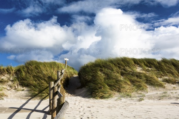 Duenenweg am Prerower Weststrand, Ruegen, Prerower Weststrand, Ruegen, Germany