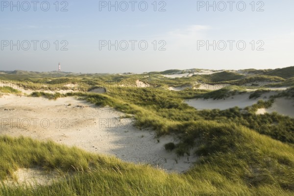 Impressions of the beach in the village of Süddorf on the North Frisian island of Amrum, Amrum, Süddorf beach, North Frisia, Germany
