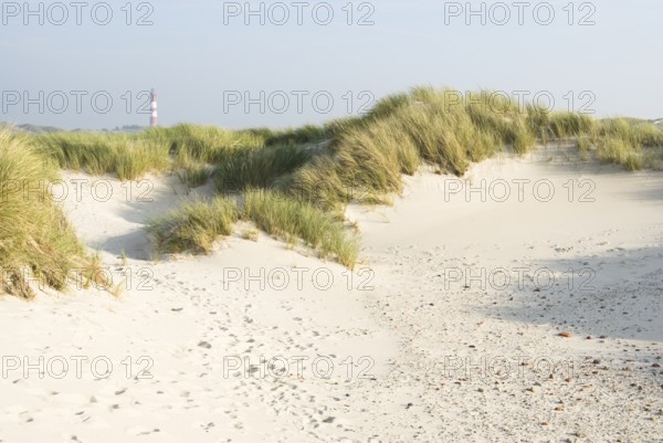 Impressions of the beach in the village of Süddorf on the North Frisian island of Amrum, Amrum, Süddorf beach, North Frisia, Germany