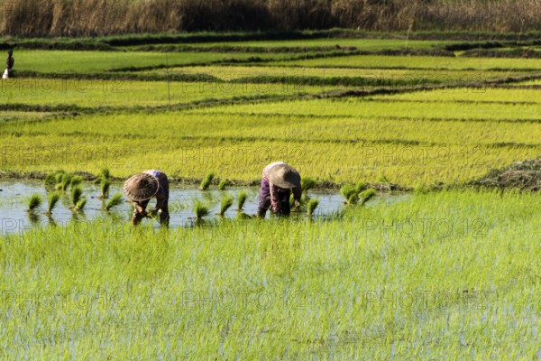 The land of a thousand pagodas, Myanmar, Myanmar, Myanmar