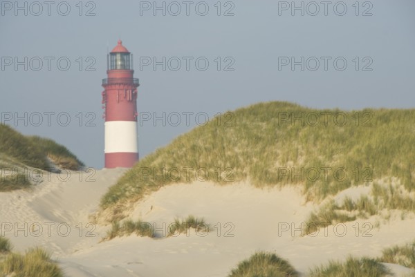 Impressions of the beach in the village of Süddorf on the North Frisian island of Amrum, Amrum, Süddorf beach, North Frisia, Germany