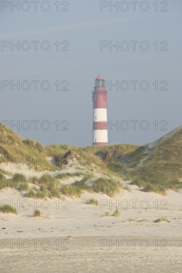 Impressions of the beach in the village of Süddorf on the North Frisian island of Amrum, Amrum, Süddorf beach, North Frisia, Germany