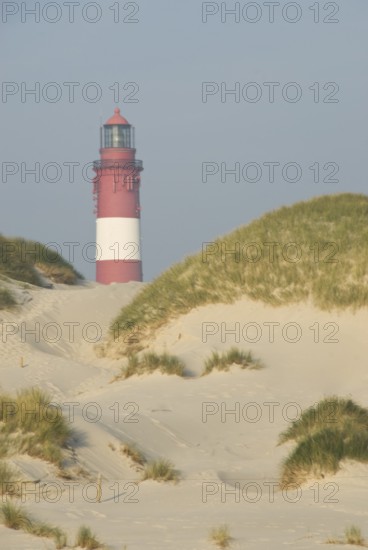 Impressions of the beach in the village of Süddorf on the North Frisian island of Amrum, Amrum, Süddorf beach, North Frisia, Germany