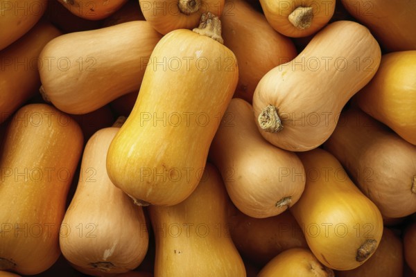 Butternut, pear pumpkin, edible pumpkin, full-size, AI generated