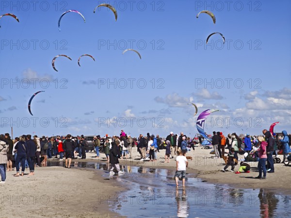 California kitesurfing Masters 2025 on the edge of the Wadden Sea UNESCO World Heritage Site, North Sea, beach, kitesurfing, sport, leisure, spectators, summer, sun, blue sky, white clouds, Ording, Sankt Peter-Ording, Schleswig-Holstein, Germany