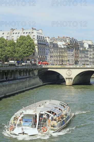 Excursion boat, on the left bank of the Seine, in the background the Pont Saint-Michel bridge, Paris, France