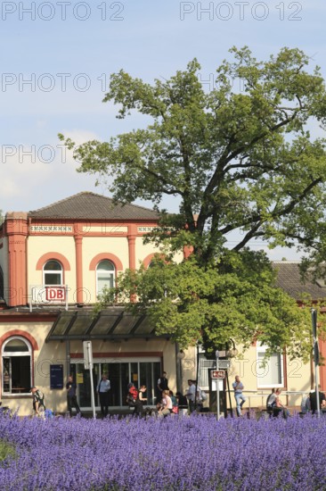 Railway station, Leer, Oldenburg-Leer railway line, East Frisia, Germany