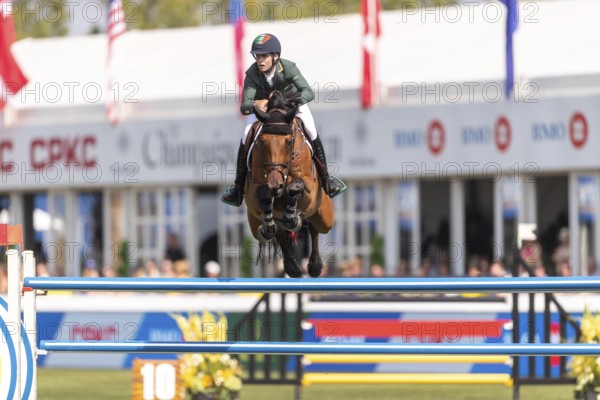 Tom Wachman of Ireland, riding Tabasco De Toxandria Z, competes in the first round of the 2025 BMO Nations Cup during the Spruce Meadows Masters on September 6, 2025 in Calgary, Alberta, Canada, North America