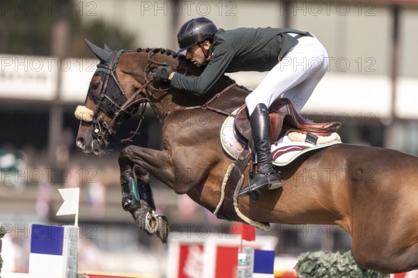 Pedro Junquiera Muylaert of Brazil, riding Quax 76, competes in the first round of the 2025 BMO Nations Cup during the Spruce Meadows Masters on September 6, 2025 in Calgary, Alberta, Canada, North America