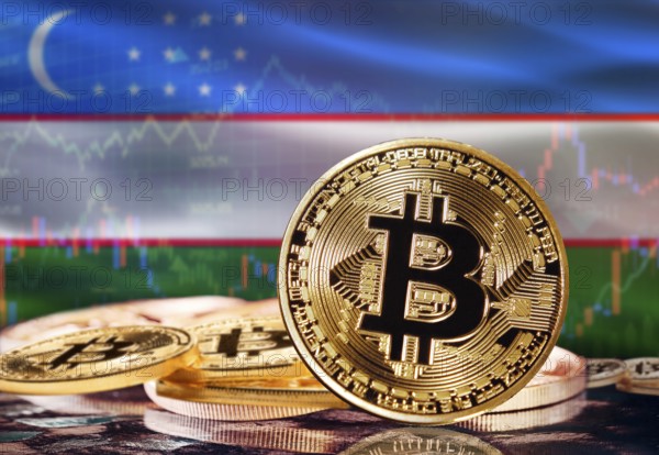 Bitcoin with Uzbekistan flag in the background. Investors in cryptocurrency and Blockchain Technology in Uzbekistan, Concept