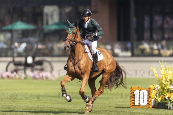 Gabriel De Matos Machado of Brazil, riding Nyles Van de Mottelhoeve, competes in the first round of the 2025 BMO Nations Cup during the Spruce Meadows Masters on September 6, 2025 in Calgary, Alberta, Canada, North America