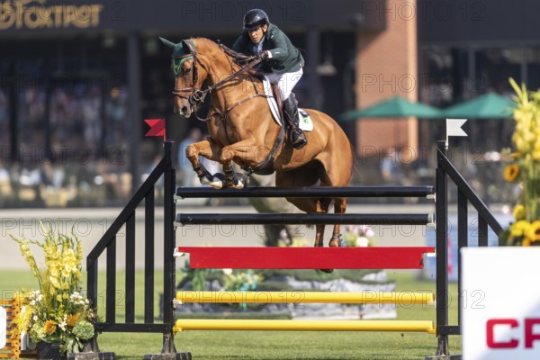 Gabriel De Matos Machado of Brazil, riding Nyles Van de Mottelhoeve, competes in the first round of the 2025 BMO Nations Cup during the Spruce Meadows Masters on September 6, 2025 in Calgary, Alberta, Canada, North America