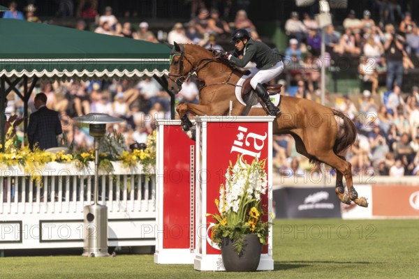 Gabriel De Matos Machado of Brazil, riding Nyles Van de Mottelhoeve, competes in the first round of the 2025 BMO Nations Cup during the Spruce Meadows Masters on September 6, 2025 in Calgary, Alberta, Canada, North America