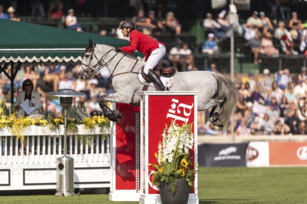 Nicola Philippaerts of Belgium, riding Qnokke de Muze, competes in the first round of the 2025 BMO Nations Cup during the Spruce Meadows Masters on September 6, 2025 in Calgary, Alberta, Canada, North America