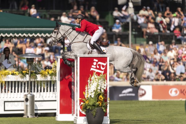 Nicola Philippaerts of Belgium, riding Qnokke de Muze, competes in the first round of the 2025 BMO Nations Cup during the Spruce Meadows Masters on September 6, 2025 in Calgary, Alberta, Canada, North America