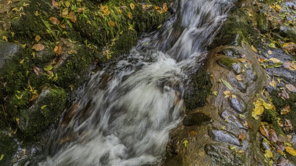 A small stream flows gently over smooth stones, while colourful autumn leaves line the banks. The tranquil surroundings invite you to relax. Perlbachtal, Neukirchen, Lower Bavaria
