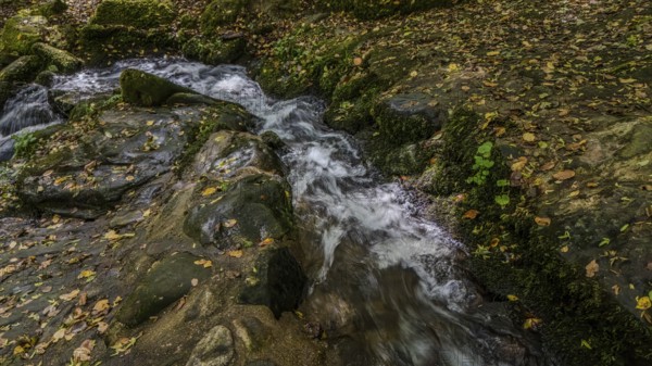A clear stream flows over stony ground, surrounded by colourful autumn leaves. Water bubbles gently between the rocks of the forest, creating a peaceful atmosphere. Perlbachtal, Neukirchen, Lower Bavaria