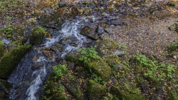 Clear water flows over moss-covered stones in an idyllic forest. Surrounded by green plants, nature radiates peace and tranquillity. Perlbachtal, Neukirchen, Lower Bavaria