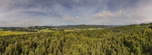 An impressive view over a green, hilly forest landscape in Germany. Far-reaching trees and meadows stretch to the horizon under the blue sky. Perlbachtal, Neukirchen, Lower Bavaria