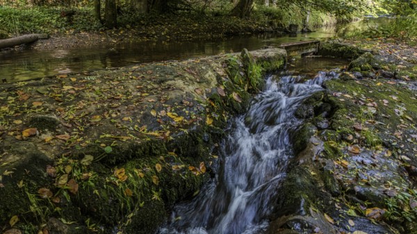 A view of nature shows clear water flowing over moss-covered stones in a stream. Foliage covers the banks, while trees display autumnal colours and radiate tranquillity. Perlbachtal, Neukirchen, Lower Bavaria