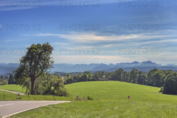 Blue sky, foehn clouds, country road, green meadows and Austrian and Swiss Alps near Tautenhofen, Allgäu, Baden-Württemberg, Germany