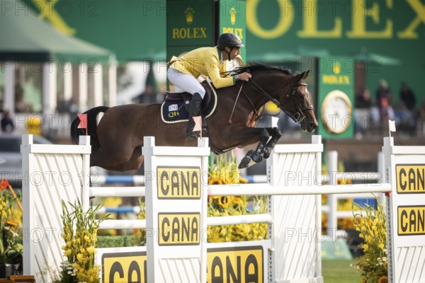 Yuri Mansur of Brazil, riding QH Alfons Santo Antonio competes in the 2025 Spruce Meadows Masters on September 4, 2025 in Calgary, Alberta, Canada, North America