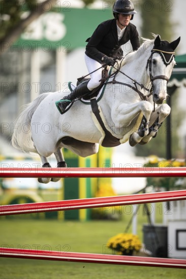 Hilary Scott or Australia, riding Oaks Milky Way competes in the 2025 Spruce Meadows Masters on September 4, 2025 in Calgary, Alberta, Canada, North America
