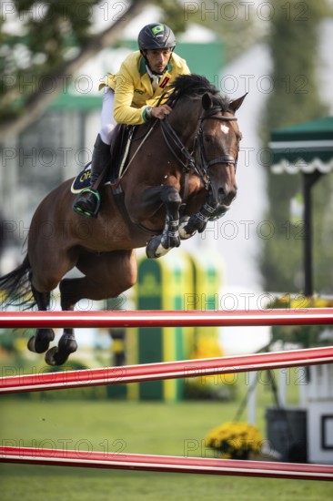 Yuri Mansur of Brazil, riding QH Alfons Santo Antonio competes in the 2025 Spruce Meadows Masters on September 4, 2025 in Calgary, Alberta, Canada, North America