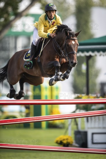 Yuri Mansur of Brazil, riding QH Alfons Santo Antonio competes in the 2025 Spruce Meadows Masters on September 4, 2025 in Calgary, Alberta, Canada, North America