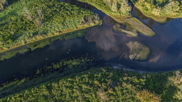 The tranquil oxbow lake of the Danube meanders through lush greenery. The surrounding area features a variety of trees and shrubs that complement the idyllic landscape. Bogen, Lower Bavaria