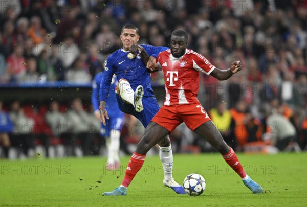 Duel, action Enzo Fernandez Chelsea FC The Blues (08) vs Dayot Upamecano FC Bayern Munich FCB (02) Champions League, Allianz Arena, Munich, Bavaria, Germany