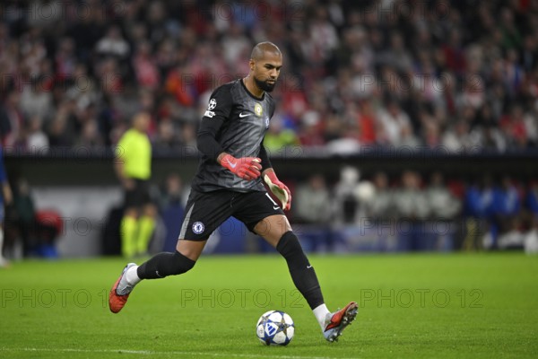 Goalkeeper Robert Sanchez Chelsea FC The Blues (01) Action on the ball Champions League, Allianz Arena, Munich, Bavaria, Germany