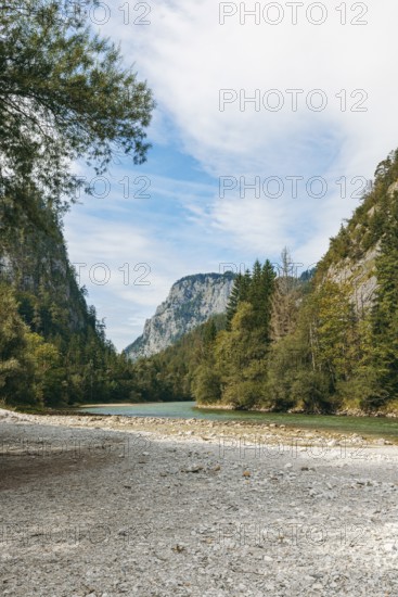 Riverbed of the Enns between trees and rock faces, Gesäuse, Styria, Austria