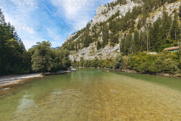 Enns with clear water and lush woodland, Gesäuse, Styria, Austria