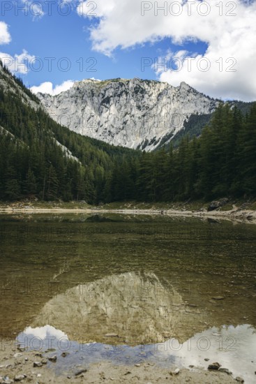 Meßnerin reflected in the Green Lake surrounded by forest under a blue sky, Tragöß, Styria, Austria